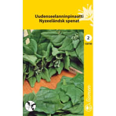 Pinaatti Uuden Seelannin siemen