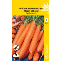 Porkkana Siemennauha Berlicum siemen