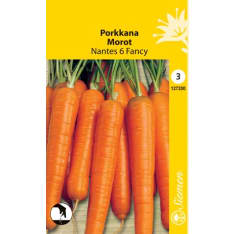 Carrot Nantes 6 Fancy