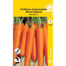 Carrot seedtape Nantes 2