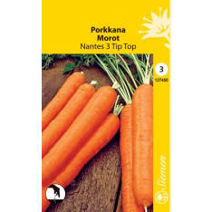 Carrot Nantes 3 Tip Top