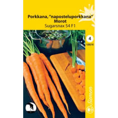 Porkkana Sugarsnax naposteluporkkana siemen