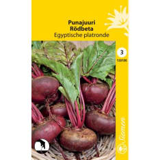 Red beet D'Egypte/Egyptische Platronde