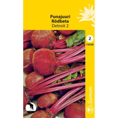 Red beet Detroit 2