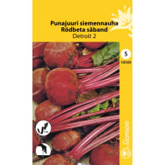 Red beet seedtape Detroit 2