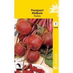 Red beet Rubia