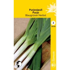 Leek Blaugrüner Herbst