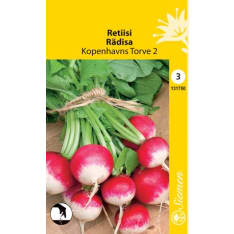 Radish Kobenhavns Torve 2