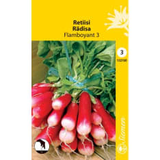 Radish Flamboyant 3