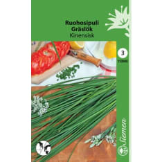 Chinese chives / garlic chives Chinese