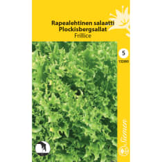 Rapealehtinen salaatti Frillice siemen