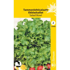 Tammenlehtisalaatti Salad Bowl siemen