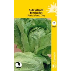 Sidesalaatti Parris Island Cos siemen