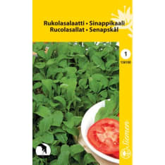 Rukolasalaatti siemen