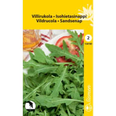 Villirukola  siemen