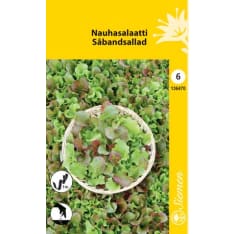 Nauhasalaatti sekoite siemen