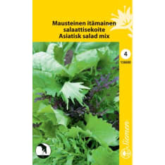 Mausteinen salaattisekoite  siemen
