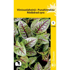 Red veined sorrel