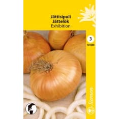 Giant onion Exhibition