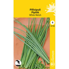 Pillisipuli White Welsh siemen
