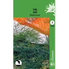 Dill Mammut