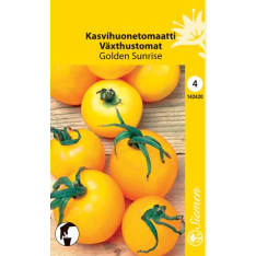 Tomato Golden Sunrise