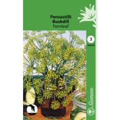 Bush dill Fernleaf