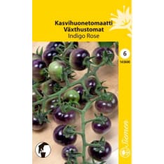 Tomato Indigo Rose