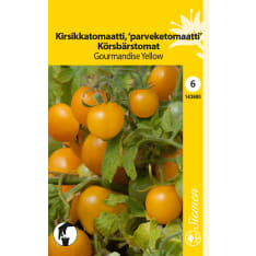 Kirsikkatomaatti gourmandise yellow siemen