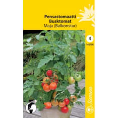 Pot tomato Maja (Balkonstar)