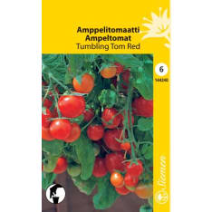 Pot tomato Tumbling Tom Red