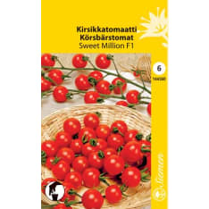 Cherry tomato Sweet Million F1