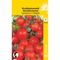 Cherry tomato Gardener's Delight