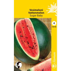 Water melon Sugar Baby