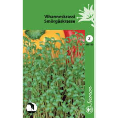Vihanneskrassi tavallinen siemen