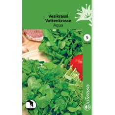 Watercress Aqua