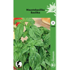 Basil