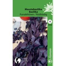 Basilika punalehtinen siemen