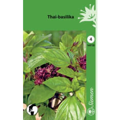 Thai basil