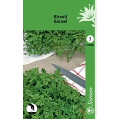 Chervil