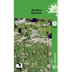Cumin
