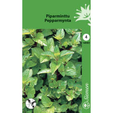 Peppermint seed
