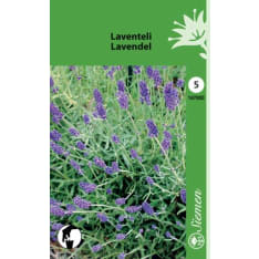 Laventeli siemen