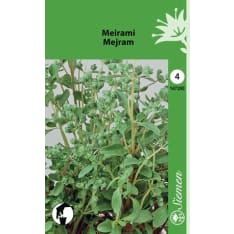 Marjoram