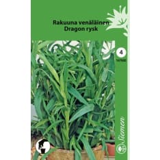 Tarragon