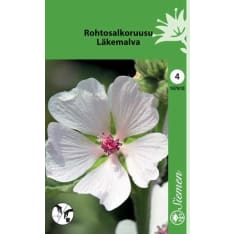 Rohtosalkoruusu siemen