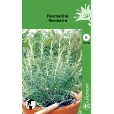 Rosemary