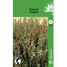Timjami siemen