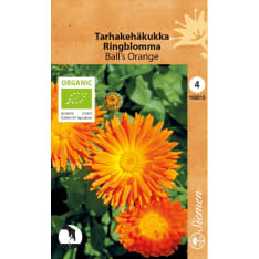 Luomu kehäkukka Ball's orange siemen