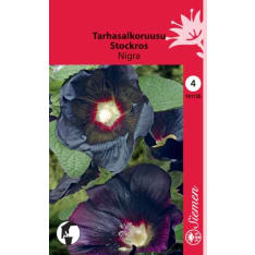 Common hollyhock Nigra